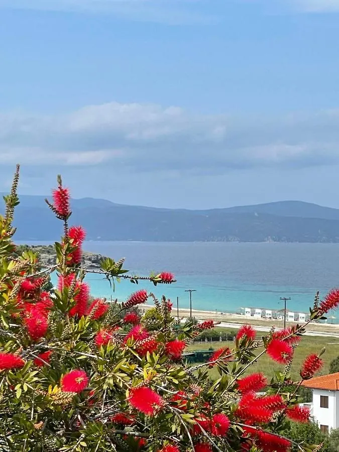 Seaview Dreams Villa Ormos Panagias Holiday home
