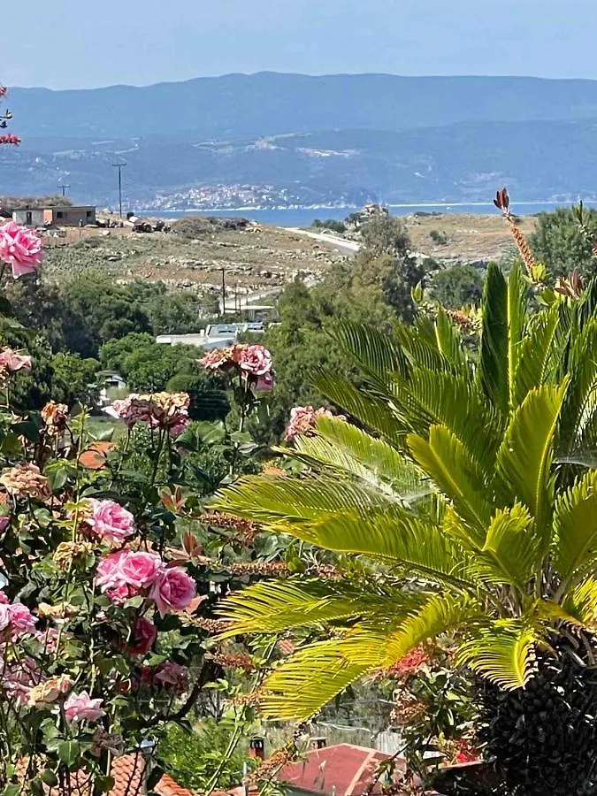 Seaview Dreams Villa Ormos Panagias